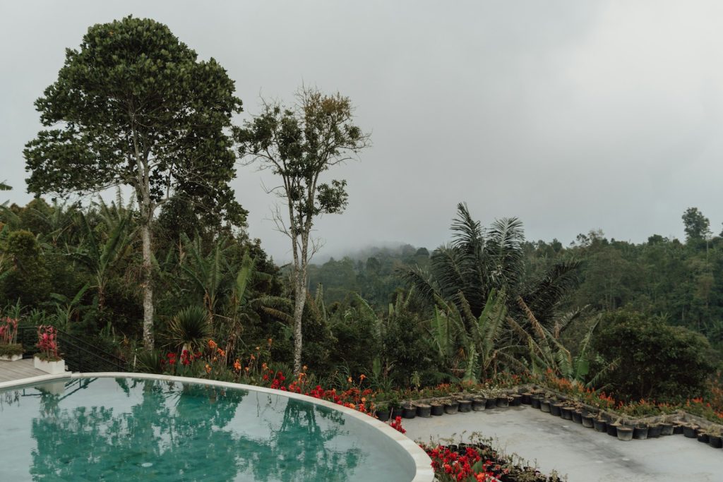 a pool surrounded by trees